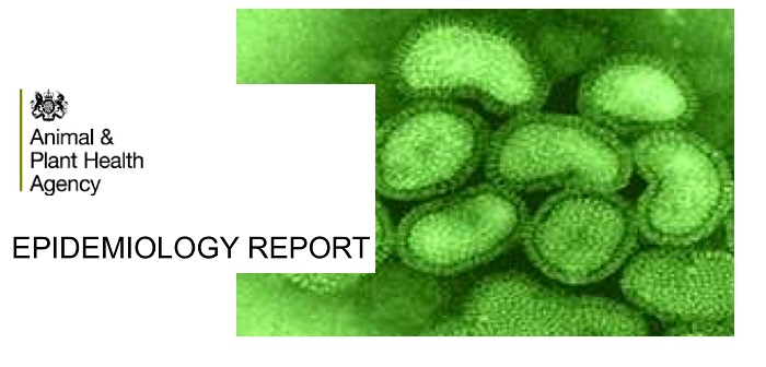 APHA releases epidemiological report on Scottish avian flu outbreak