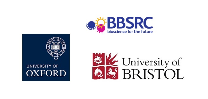 Poultry research projects secure new BBSRC funding
