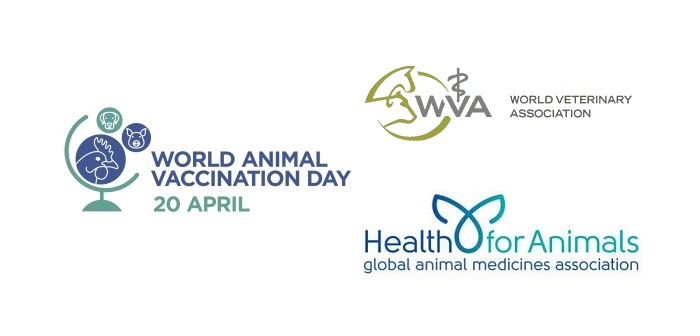 World animal vaccination day marks success with salmonella