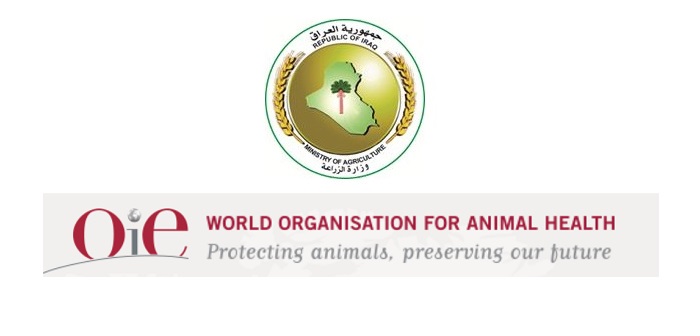 Six-case bird flu outbreak in Iraq reported to OIE