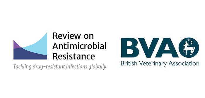 BVA welcomes AMR report findings