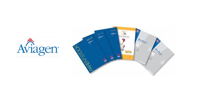 New nutrition specifications launched by Aviagen