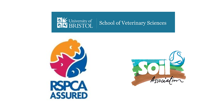 Sustained monitoring reduces feather loss during welfare study