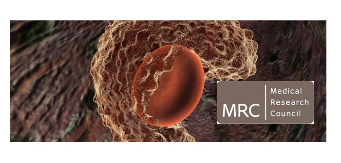 £9.5m committed to three new AMR research projects