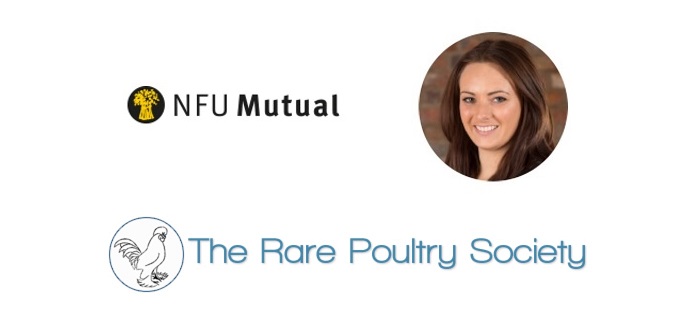 Rare breed chicken have become a “target for thieves”