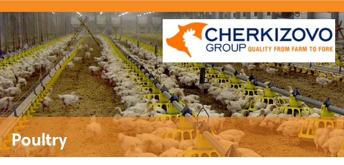 Russian poultry group targets major export growth