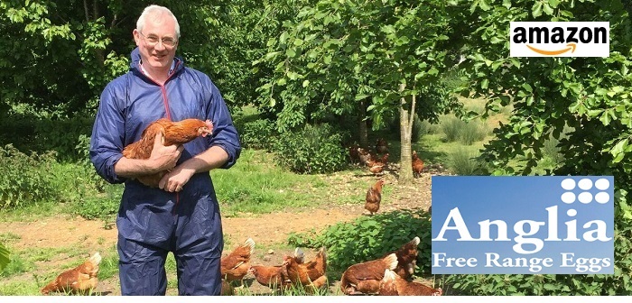 Anglia egg group selected by Amazon
