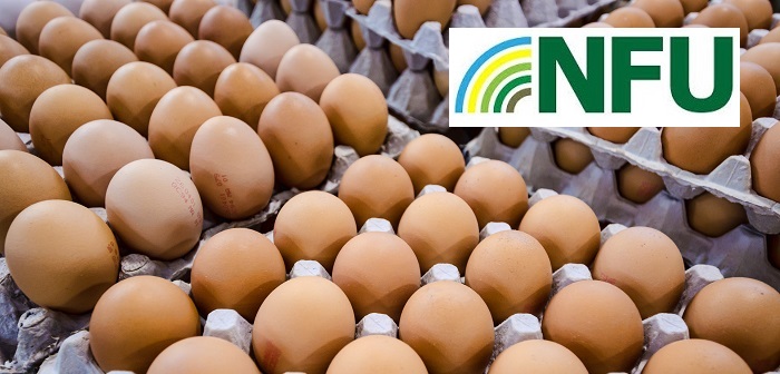 Good demand for eggs continues reports NFU