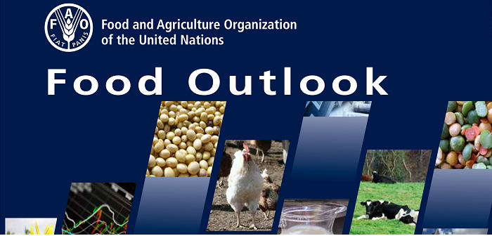 FAO forecasts “modest growth” for poultry production in 2016