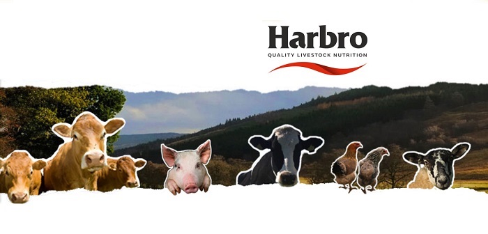 Harbro sets £40,000 charity target for 40th anniversary celebration