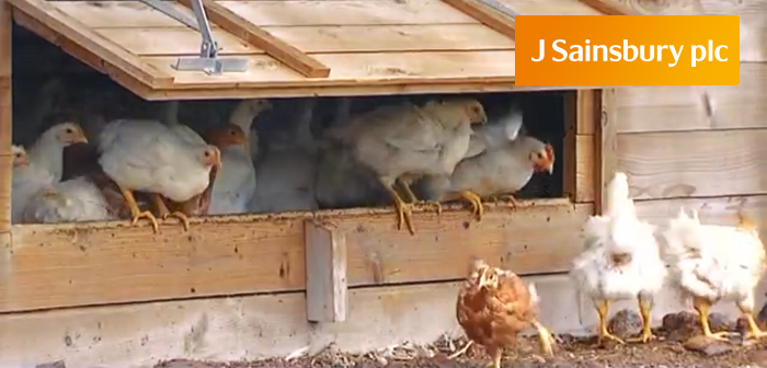 Sainsbury’s highlights its stance on chicken welfare