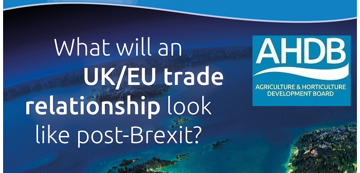 AHDB examines post-EU options for UK farmers