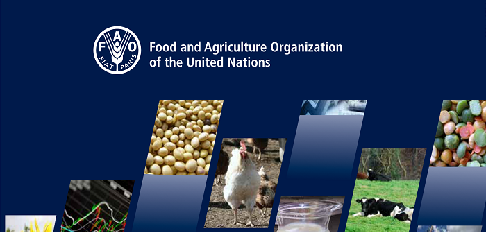 FAO warns of Avian Influenza risk from latest Russian discovery