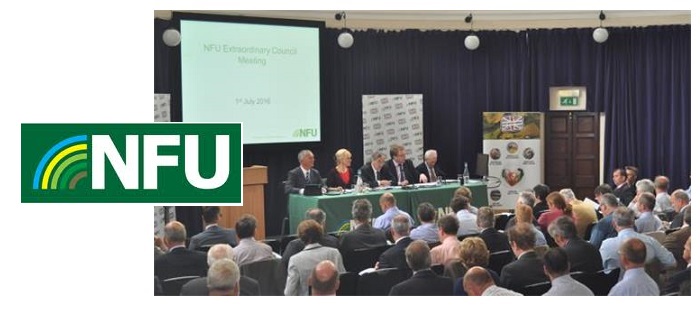 NFU to launch “most significant” Brexit consultation