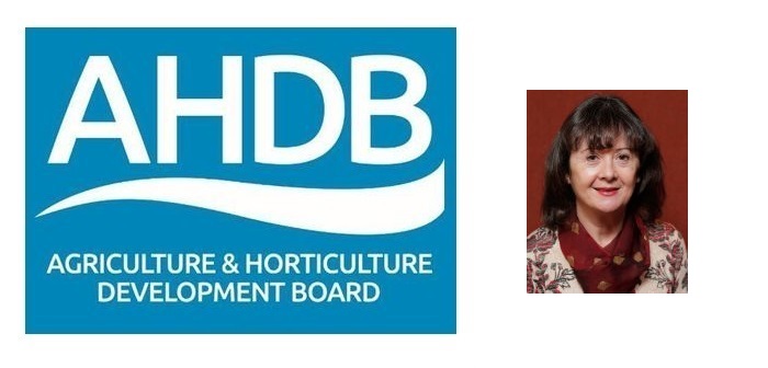 AHDB seeks positives despite confidence hit delivered by Brexit