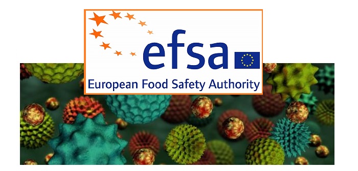 Efsa consults on food and feed allergens in GM plants