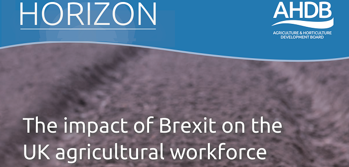 Stark warning of post-Brexit labour risks for UK farming