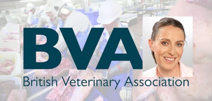 BVA continues to press for CCTV in abattoirs in Wales