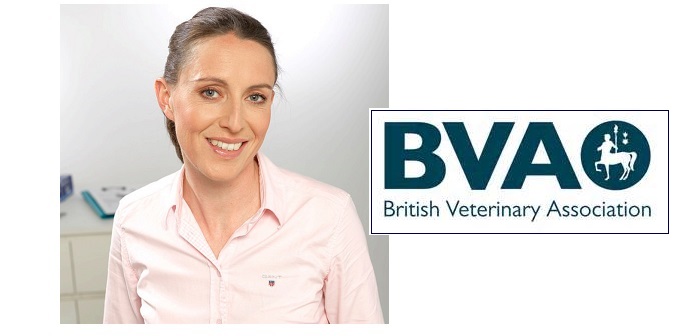 In big change, small acts are more important than ever, says BVA President in outgoing speech