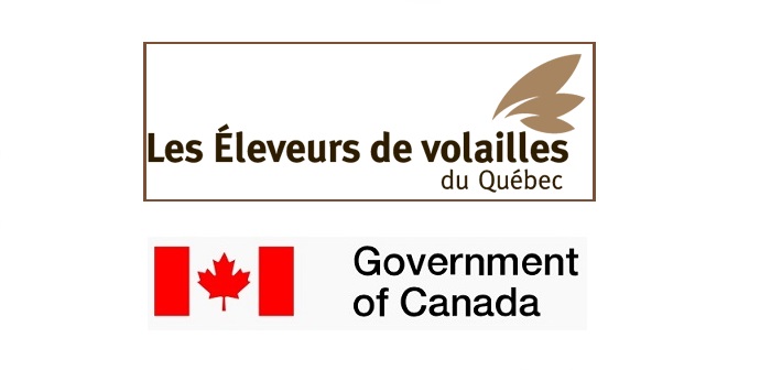 New £400,000 research targets reduced antibiotic use in poultry