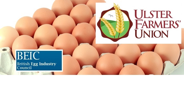 Big turnout to Ulster debate on retailer changes for colony eggs