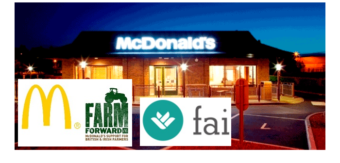 McDonald’s calls for housing and breeding response to smothering issue
