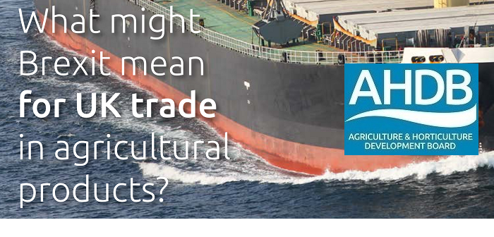 AHDB ponders the risks and rewards of post-Brexit trade policies
