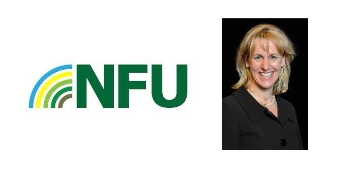 Collaboration is key to successful food supply chain post-Brexit, says NFU