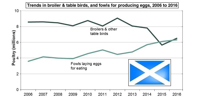 New Scottish census shows 8% rise in poultry numbers