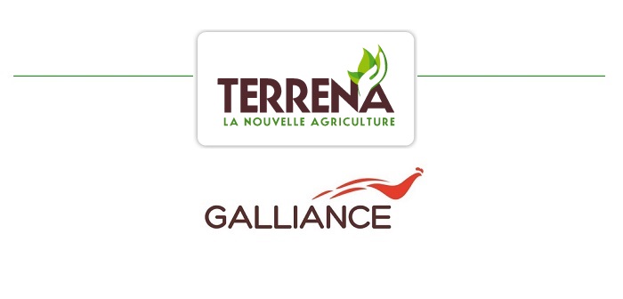 French poultry coop unveils £130m investment plan