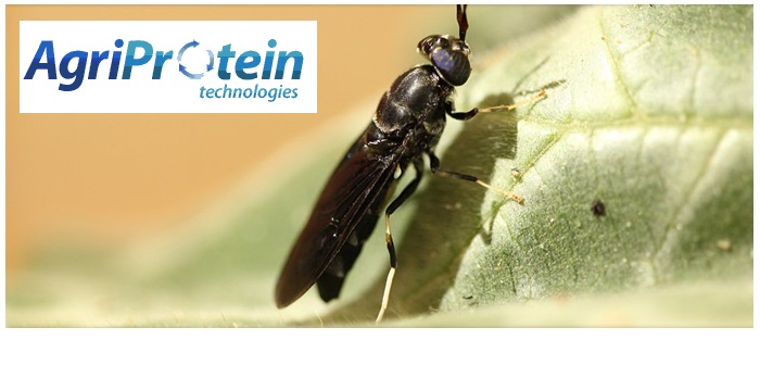 £14m expansion boost for insect farming business