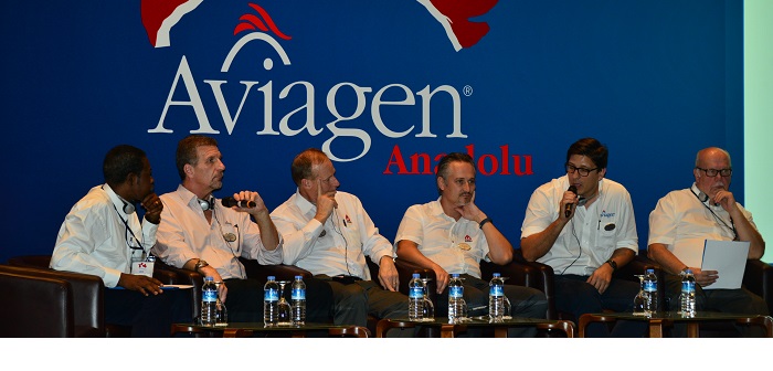 Huge potential identified for poultry industry in Turkey