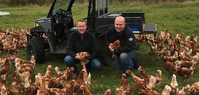Brothers win 2016 free range egg producer award for over 16,000 birds