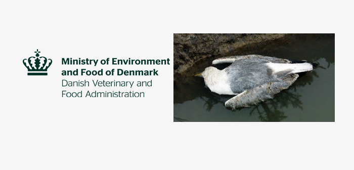 Bird flu confirmed on Danish duck farm