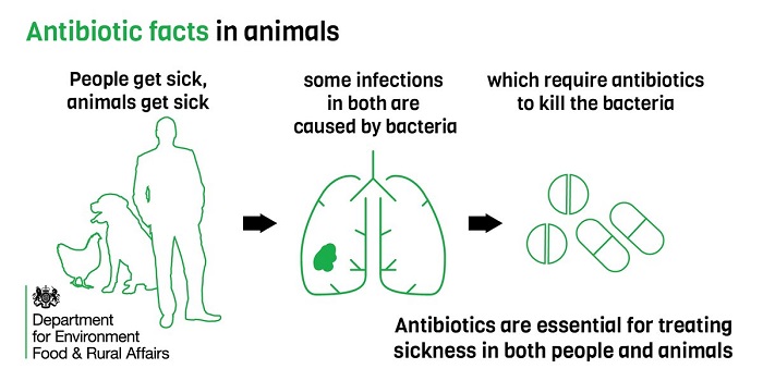 Defra issues AMR updates to boost antibiotic awareness