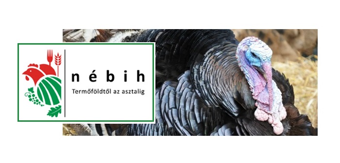 9000 turkeys culled after new avian influenza outbreak in Hungary