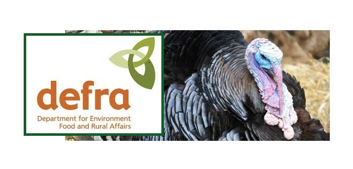 Bird flu virus patterns in Europe are “different” this year warns Defra