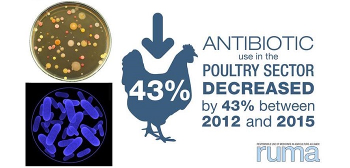 Work starts on co-ordinated approach to antibiotic reduction in UK farming