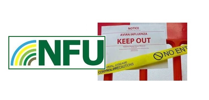 NFU issues “buy with confidence” message to turkey customers