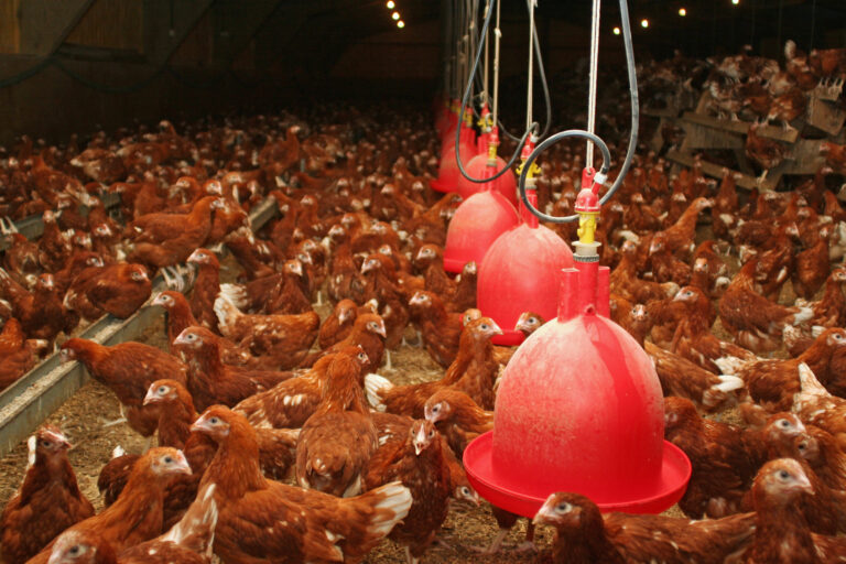 Farmers urged to tap in to new opportunities in mains water service