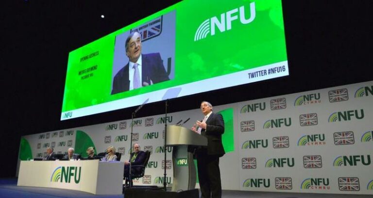 Uncertainty over Brexit for farming must end, Raymond tells conference