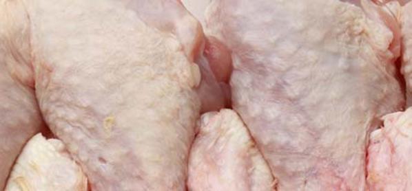 Poultry specialists and independent butcher pack a meaty punch for York pupils