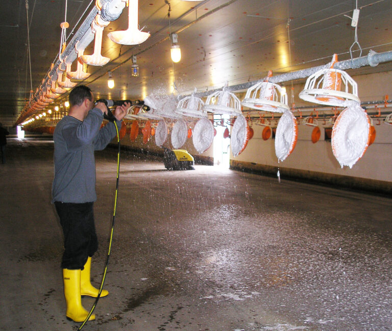 Trial opens lid on effectiveness of disinfectants