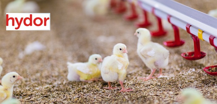 High temperature warning for broiler sheds