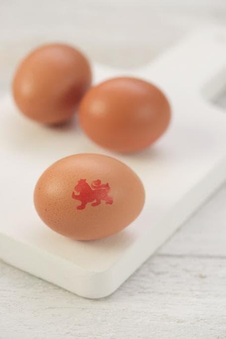 Free egg safety training for hospitality industry