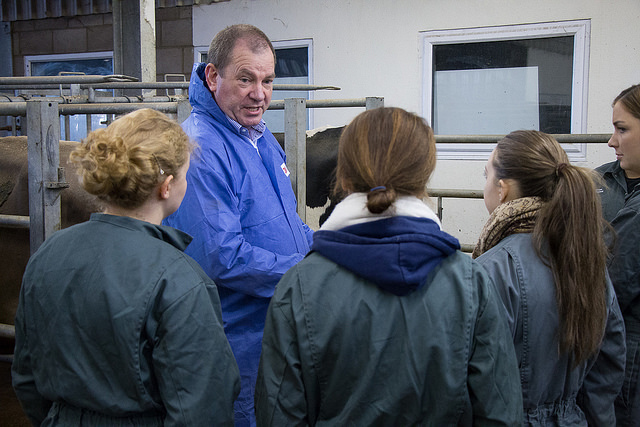 Animal health and welfare are also ‘public goods’, say vets
