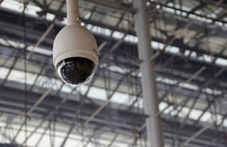 Law requiring CCTV in abattoirs comes into effect