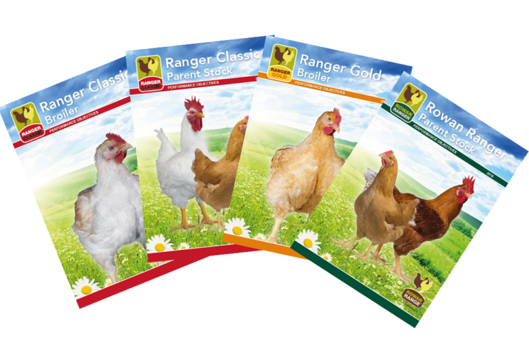 Rowan Range Guides for optimal management published by Aviagen