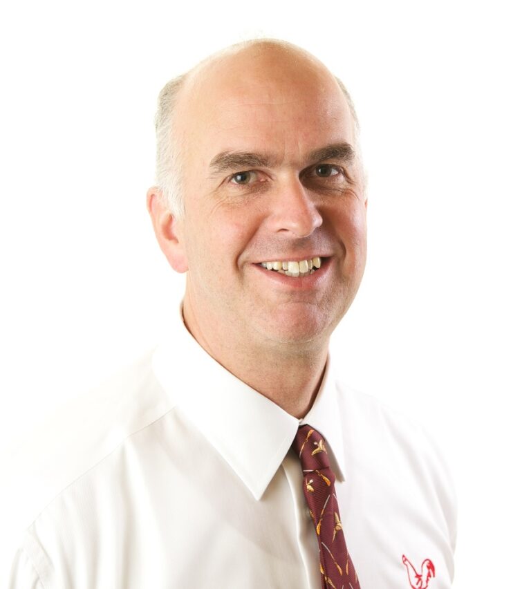 Comment: How the internet of things could revolutionise poultry farming