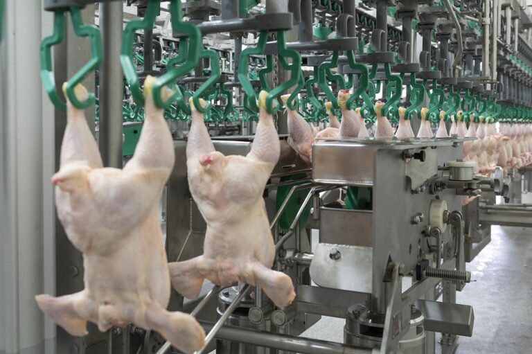 New Meyn equipment processes poultry at 15,000 bph